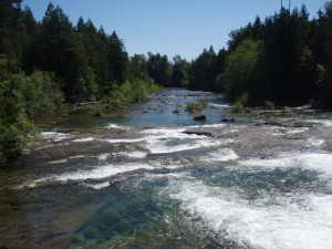 Puntledge river at low flow