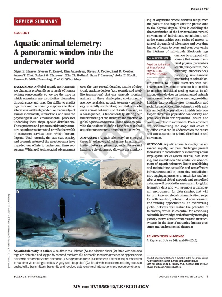 Aquatic animal tracking - Review summary